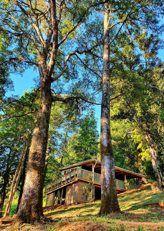 Casa de férias Con Vistas Al Rio Y La Selva Valdiviana *