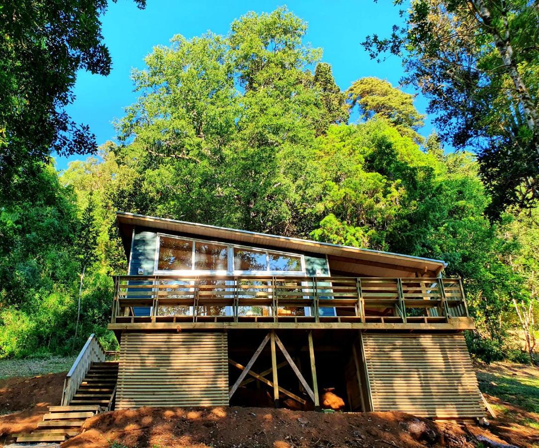 Con Vistas Al Rio Y La Selva Valdiviana Casa de férias
